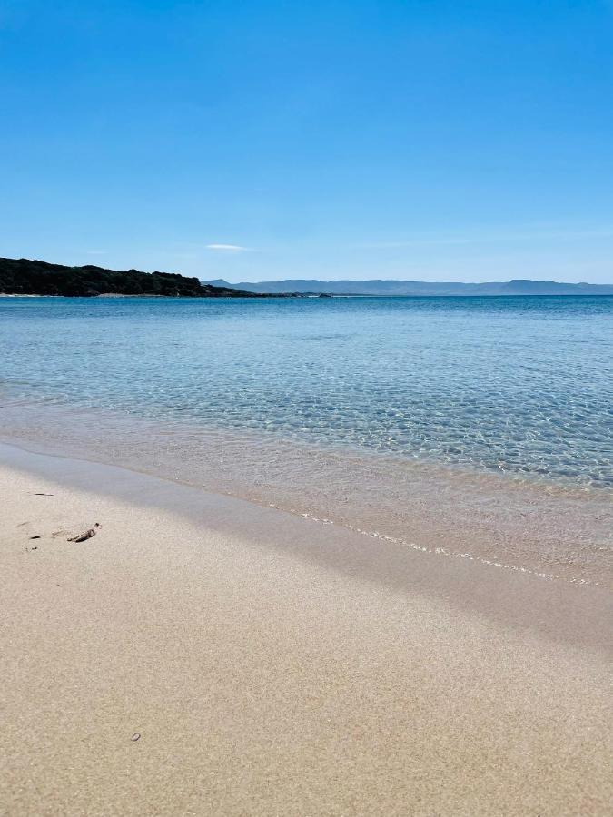 Zaffiro Casa Vacanze Al Mare Валедория Екстериор снимка